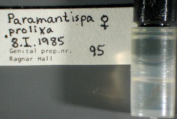 Media type: image; Entomology 10419   Aspect: labels 4